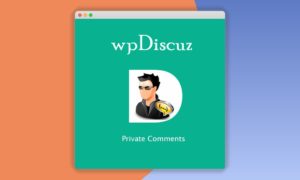 wpDiscuz-Private-Comments
